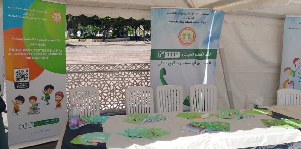 502416848 1020221103613729 5581272408073247497 n