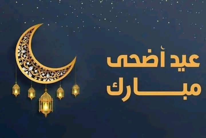 504067474 1024588656510307 6668398065979279919 n